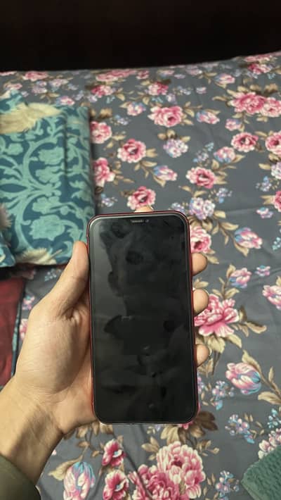 iPhone 11 pta approved