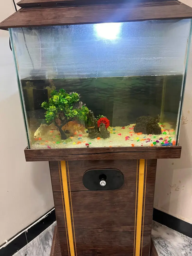 fish with fish tank — photo 2