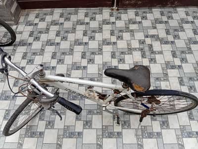 louis bicycle sell