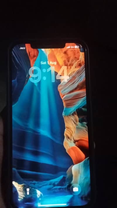 Apple iPhone 12 Pro Max