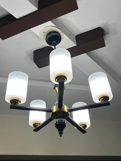 premium chandelier condition used like new with blub