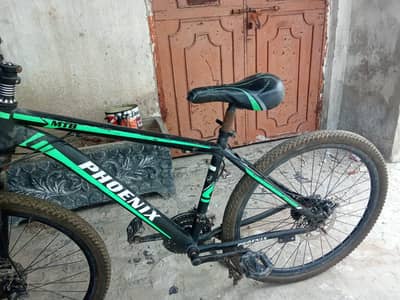 Phoenix Bicycle