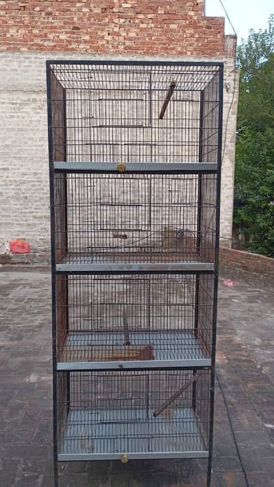birds cage