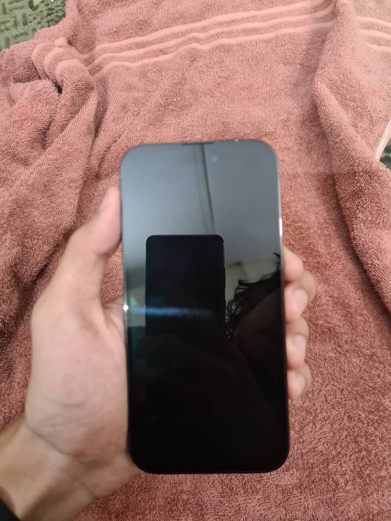 Apple iPhone 14 Pro 13