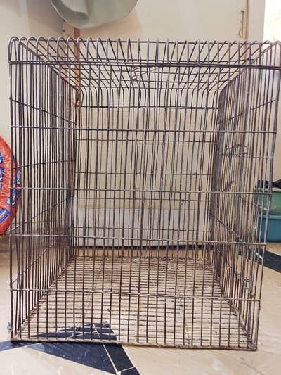 Big cage for all types of parrot