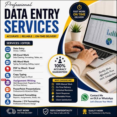 Professional Data Entry | Ms word/excel | Assignment writing