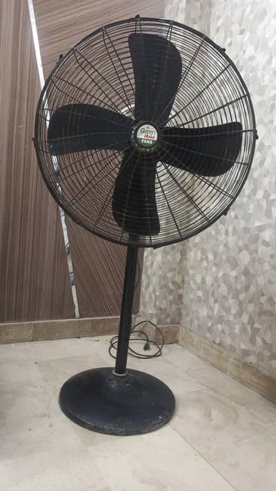 green  Asia fan for sale