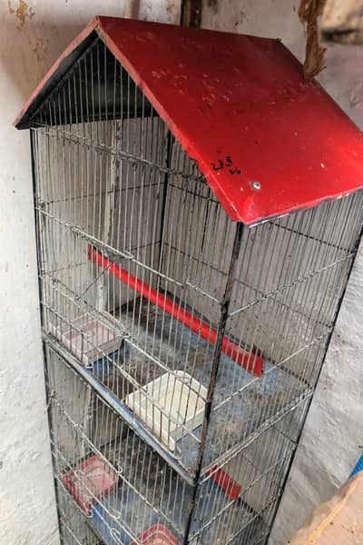 3 step cage
