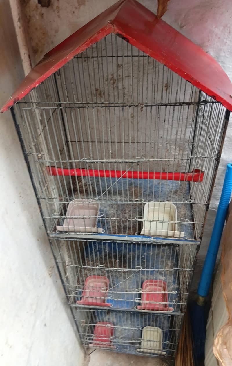 3 step cage 2