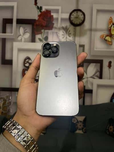 Apple iPhone 13 Pro Max