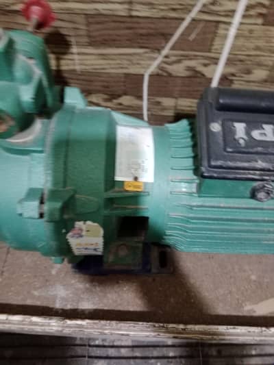Double beyral water pump