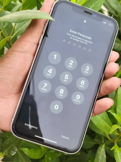 Apple iPhone XR