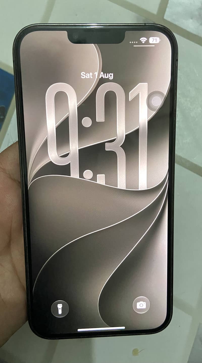 13 Pro Max 3