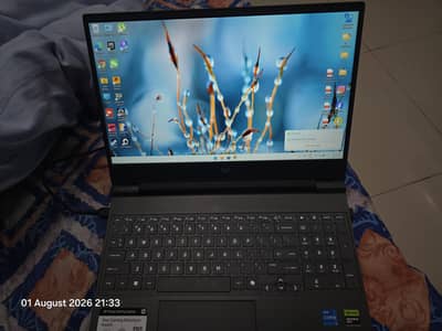 Hp Victus 15