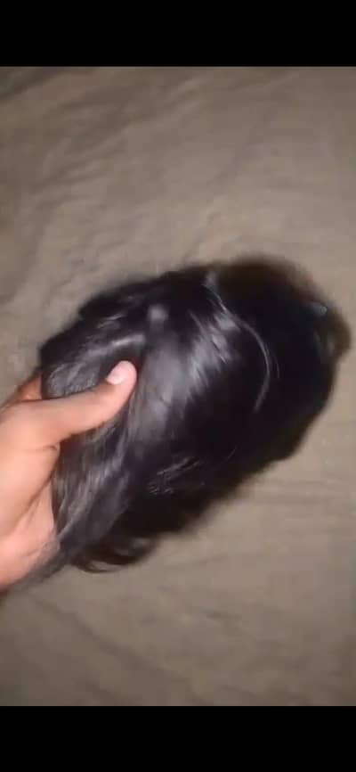 Hair waigh