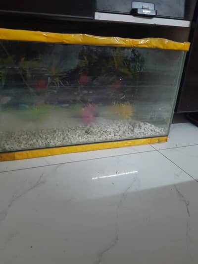 2by1 feets aquarium portable for sale