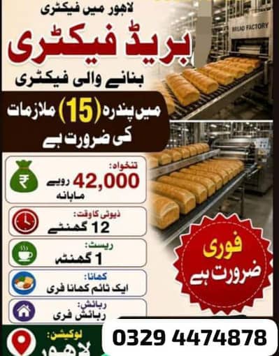 Need urgent staff required in Dawn Bread