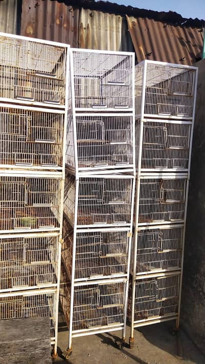 cage for sale