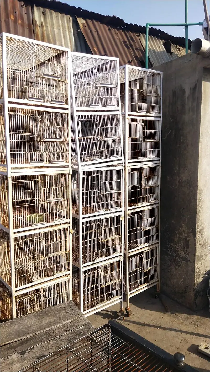 cage for sale — photo 2