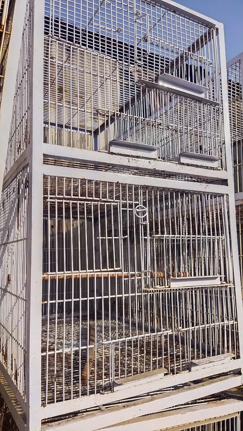 cage for sale — photo 3