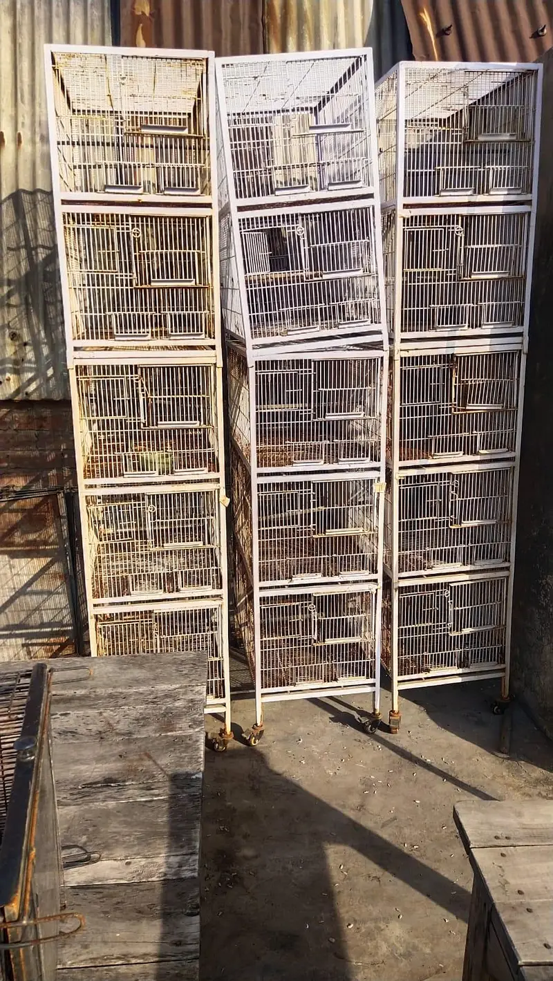 cage for sale — photo 4