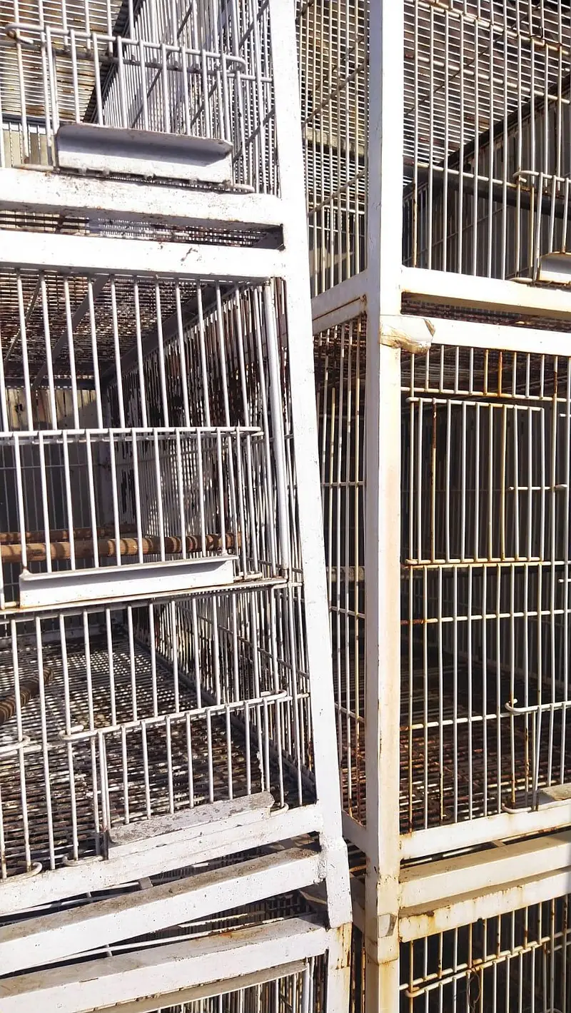 cage for sale — photo 5