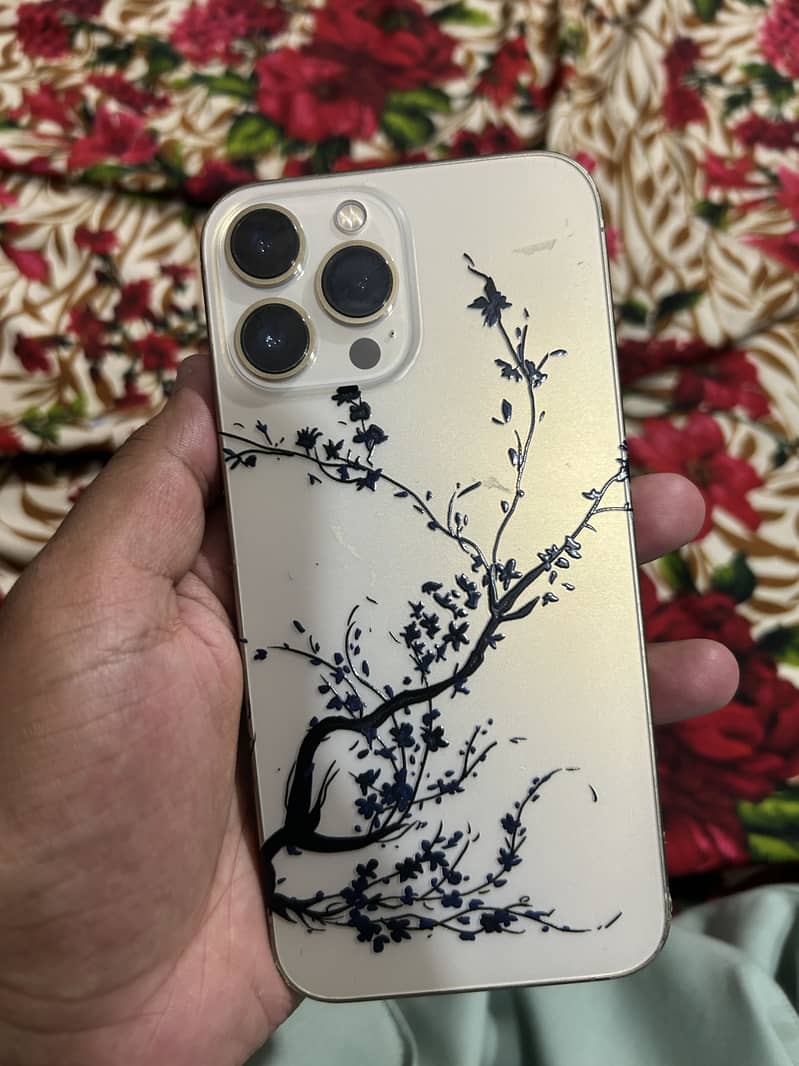Iphone 13 Pro Max 0