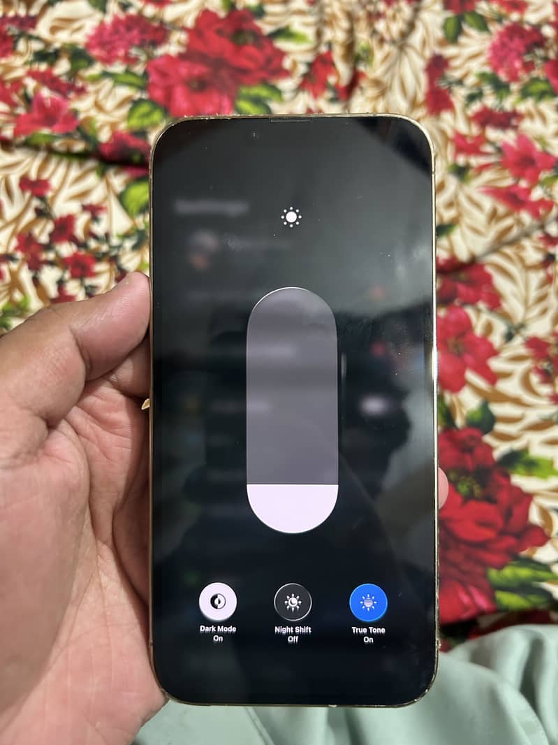 Iphone 13 Pro Max 2