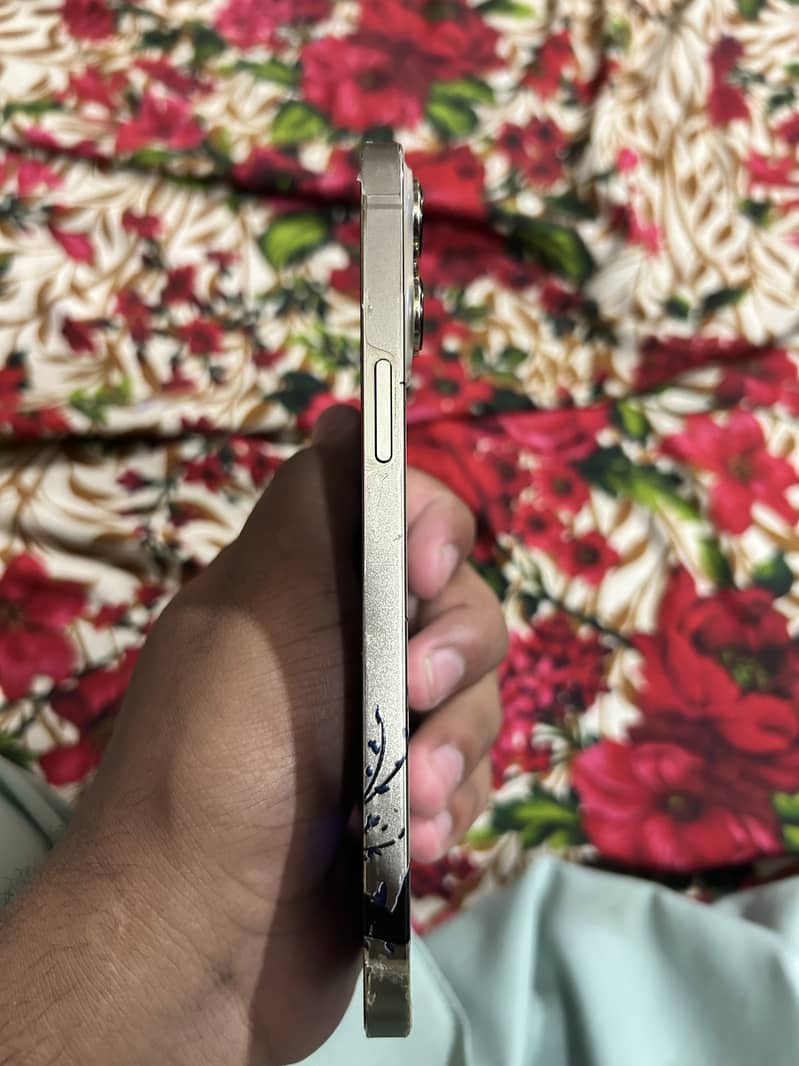 Iphone 13 Pro Max 3