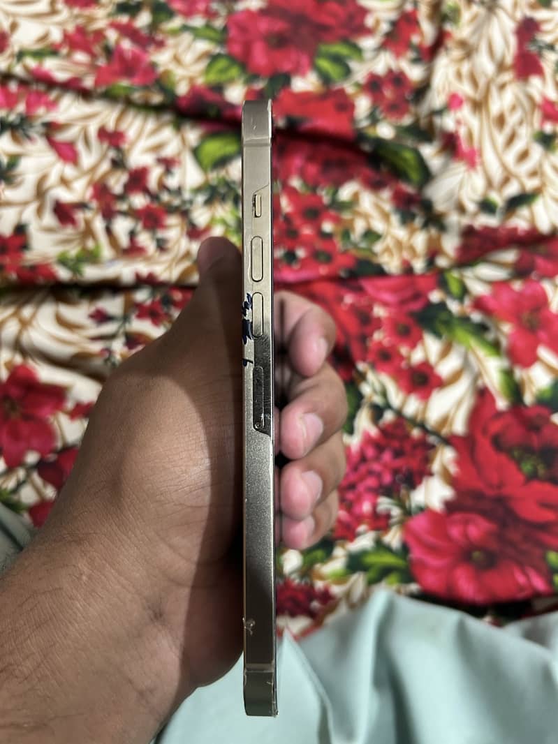 Iphone 13 Pro Max 4