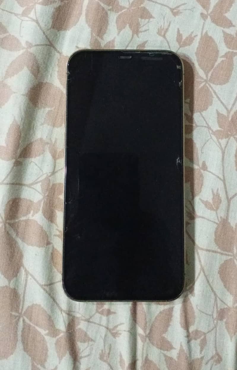 iPhone 12 pro max 1
