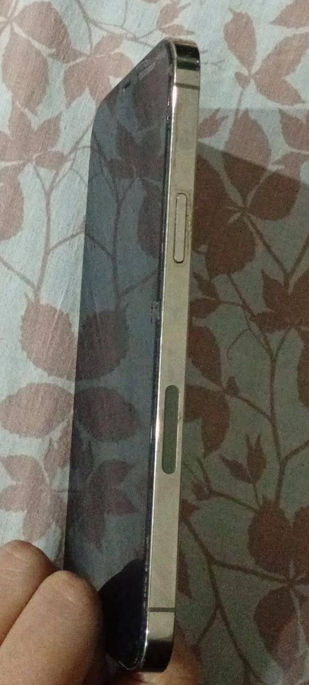 iPhone 12 pro max 2