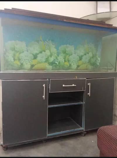 Fish aquarium/ tanks for sale
