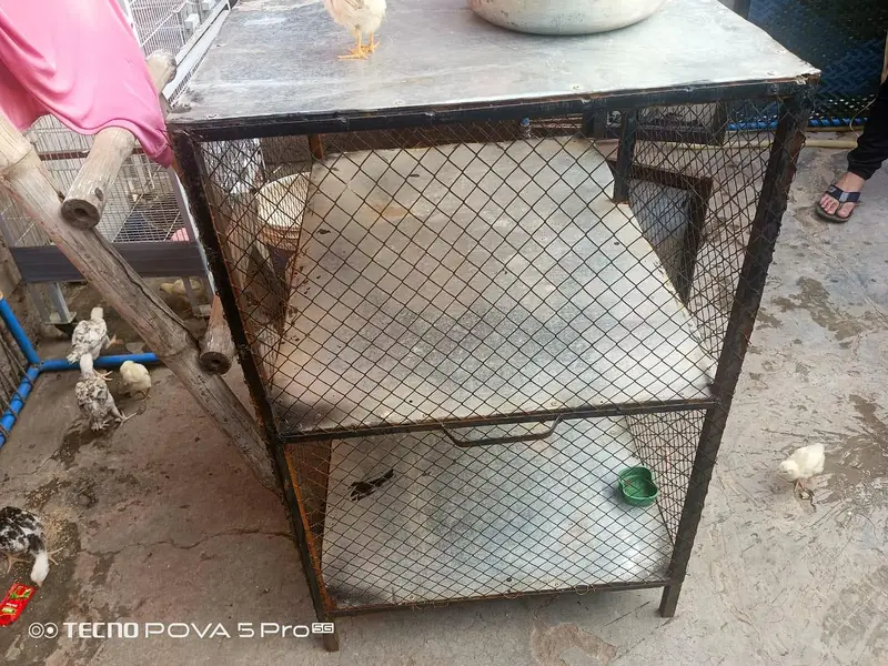 hen cages for sale — photo 2