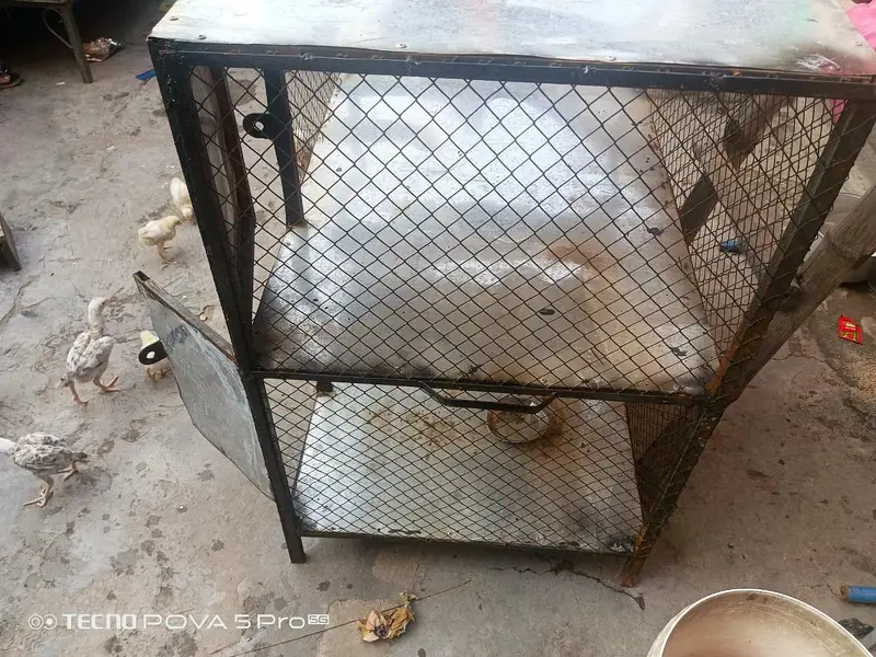 hen cages for sale — photo 4