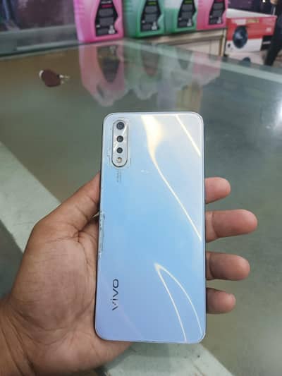 vivos1