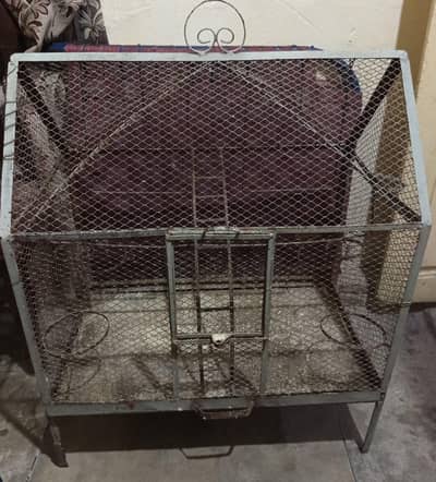 birds cage