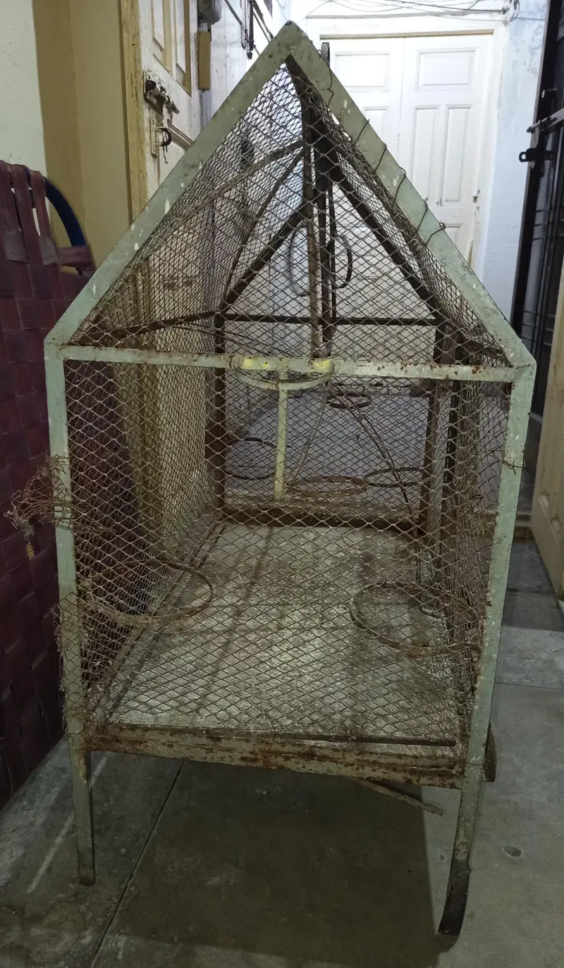 birds cage — photo 2