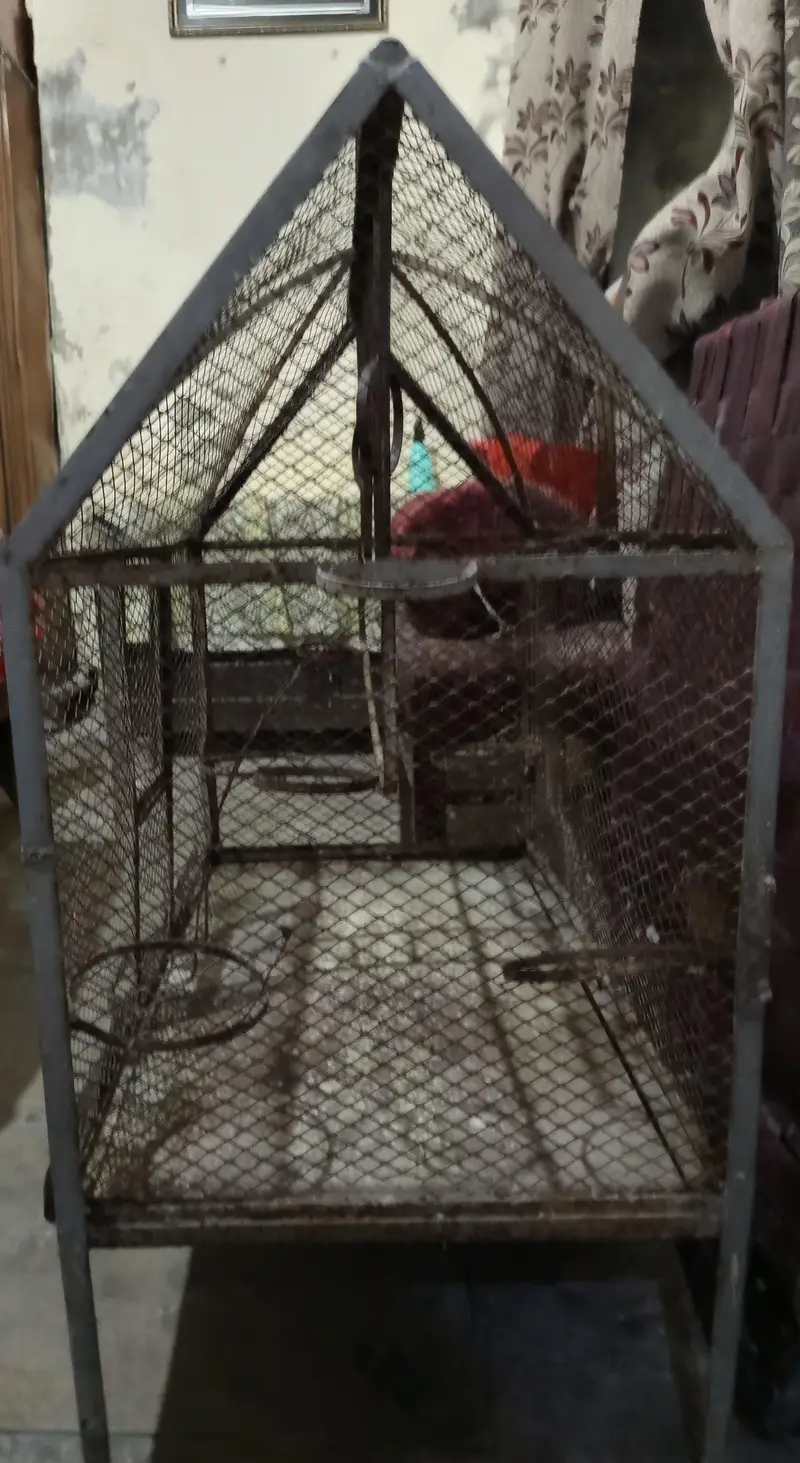 birds cage — photo 3