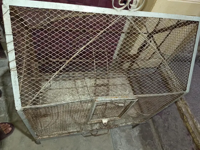 birds cage — photo 4