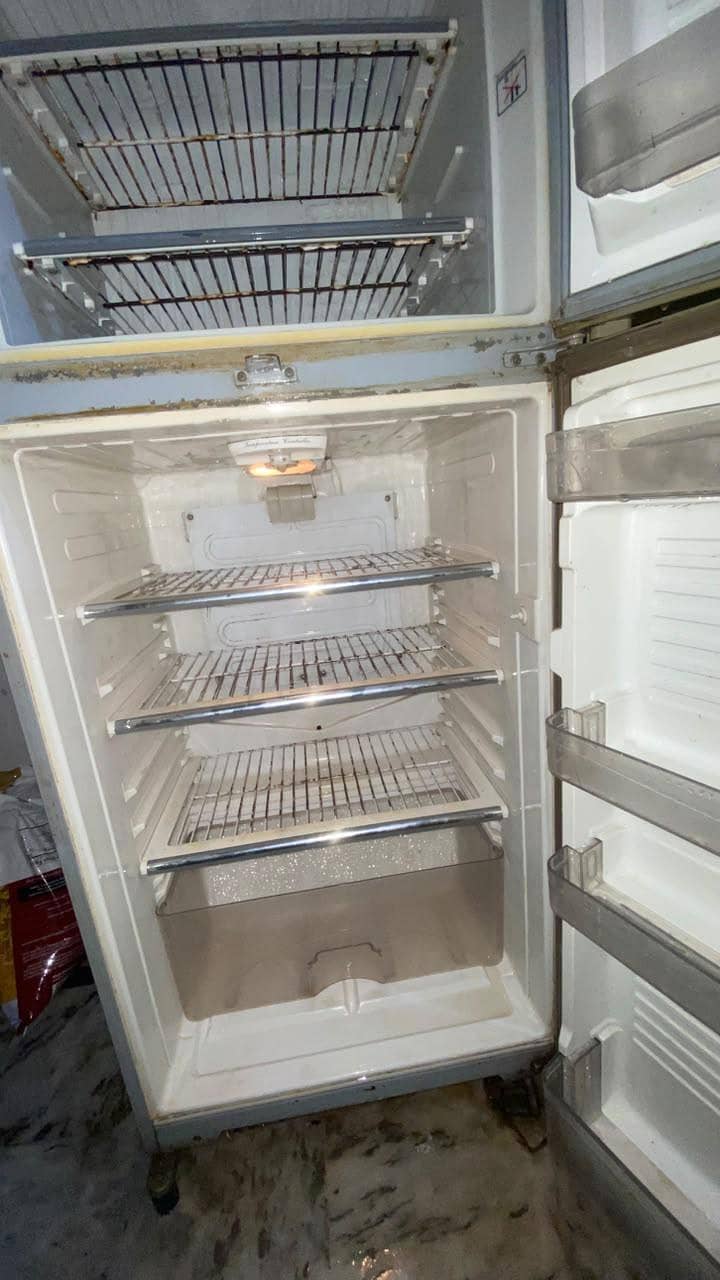 medium size fridge 3