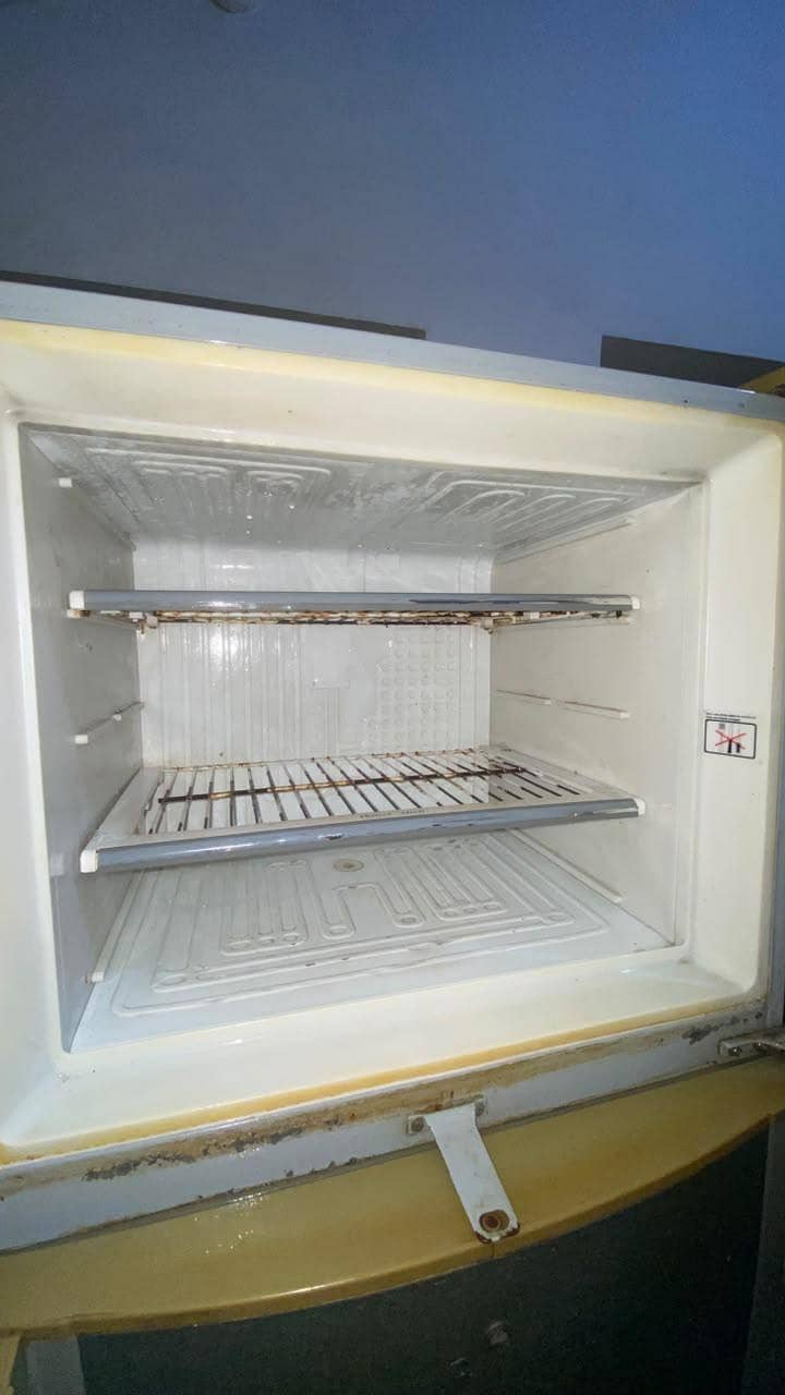 medium size fridge 6