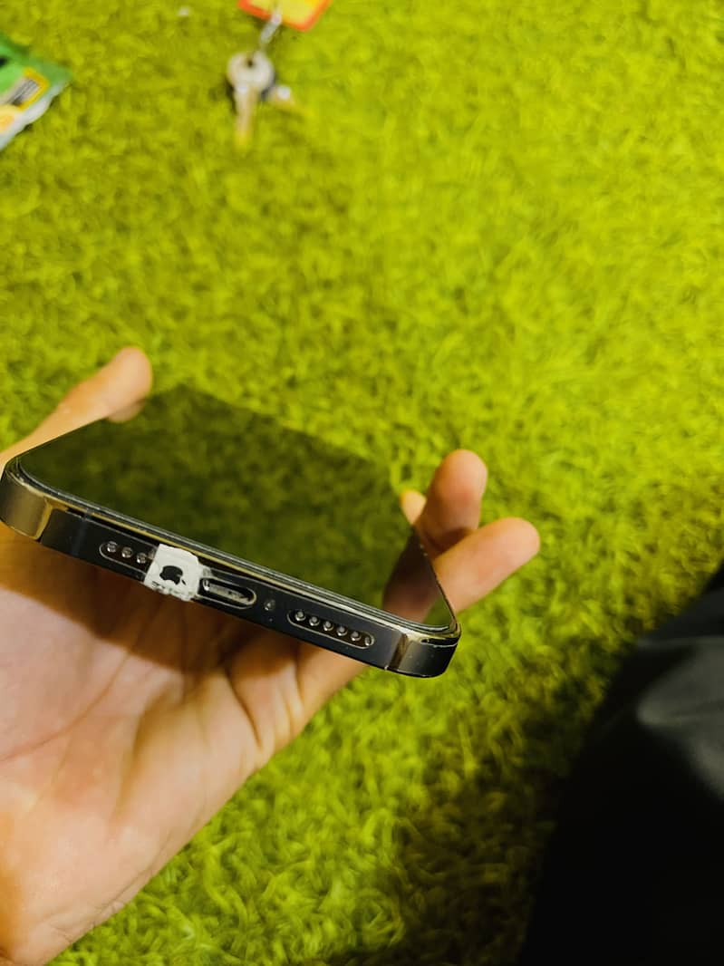 Apple iPhone 13 Pro Max 3