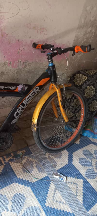 cruiser