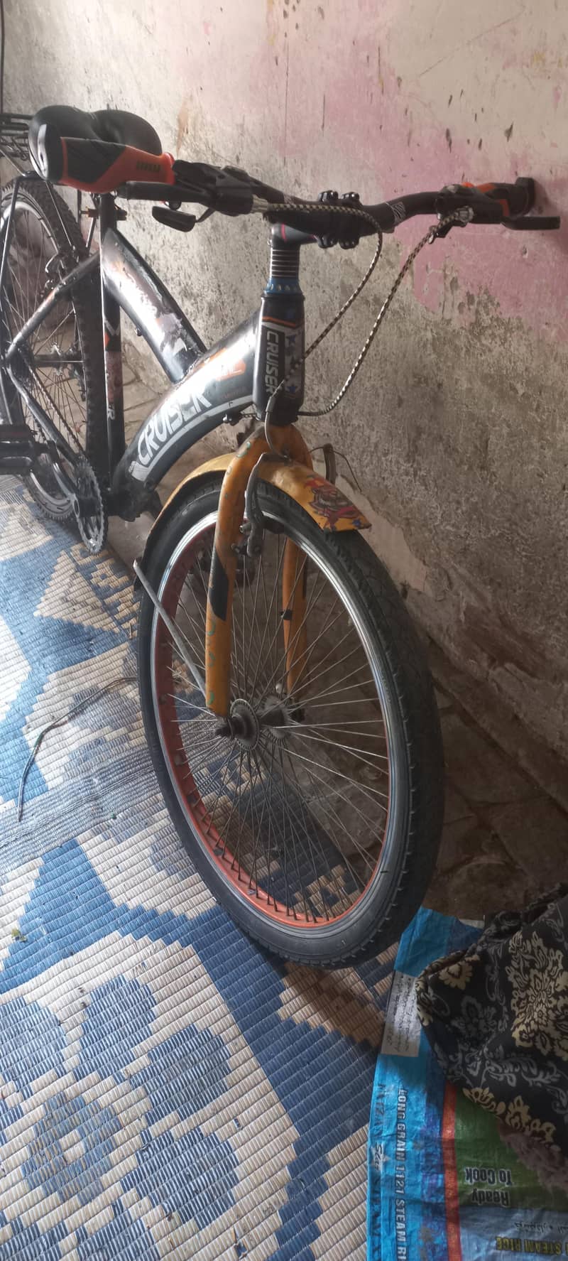 cruiser 1