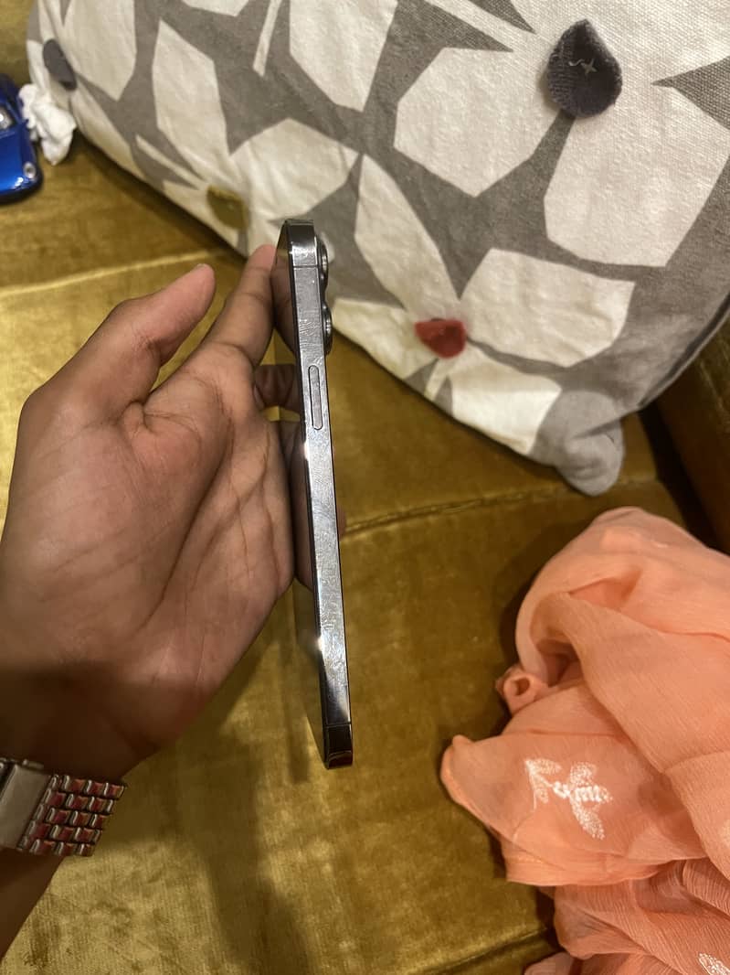 Apple iPhone 13 Pro Max 3