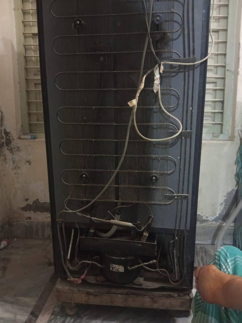 fridge medium size 1