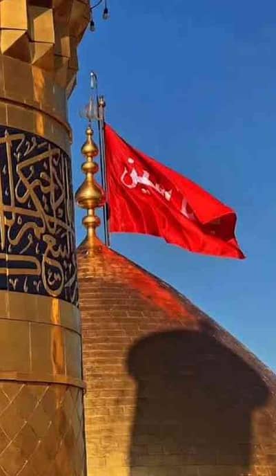 Zargham Haider 