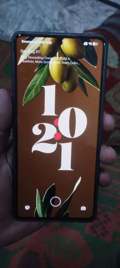 Xiaomi Redmi Note 13 Pro