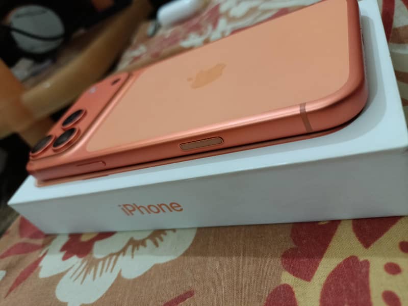 Apple iPhone 17 Pro Max 2